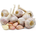 Wholesale New Red Garlic Seeds Price